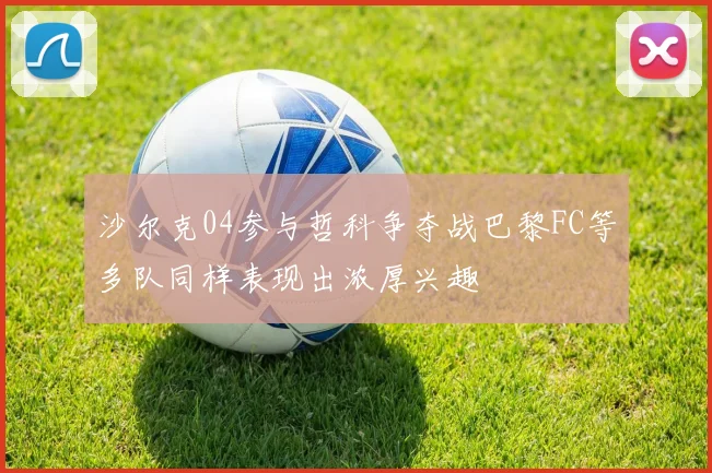 沙尔克04参与哲科争夺战巴黎FC等多队同样表现出浓厚兴趣